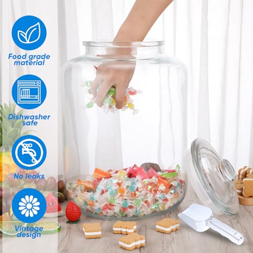 6 Gallon Glass Food Storage Jar with Airtight Lid for Kitchen Pantry