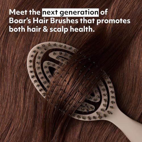 Boar's Hair Wellness Hair Brush - Soft Taupe, Detangles & Scalp Massage