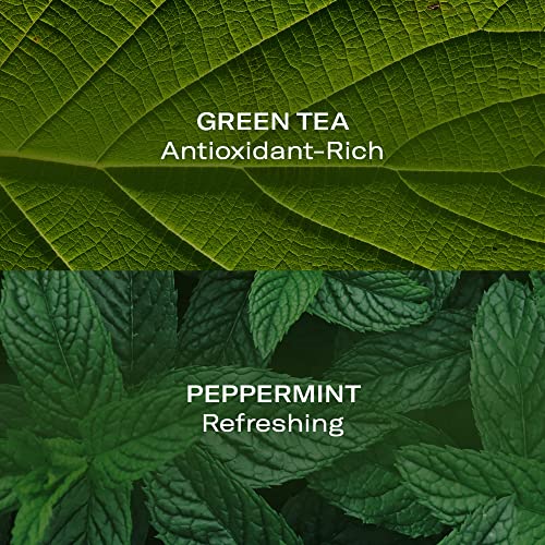 Odacit? Anti Aging Face Serum - Mint & Green Tea Hydra-Purifying Mist Glow Recipe, Acne & Pimple Prone Skin, Clearing Face Mist for Hydration, Blemishes, Clogged Pores, Tired Complexion - 1.69 fl. oz