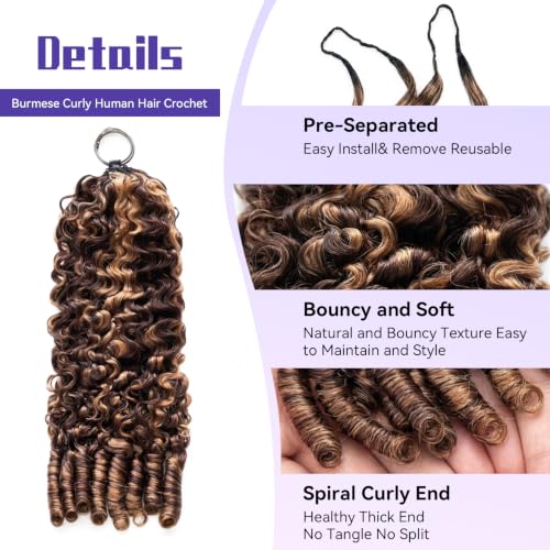 Highlight Feather Crochet Hair 14 Inch - Honey Brown Ombré Spiral Curl, Invisible Knots, Pre-separated Human Hair Extension - Variation of THIS listing