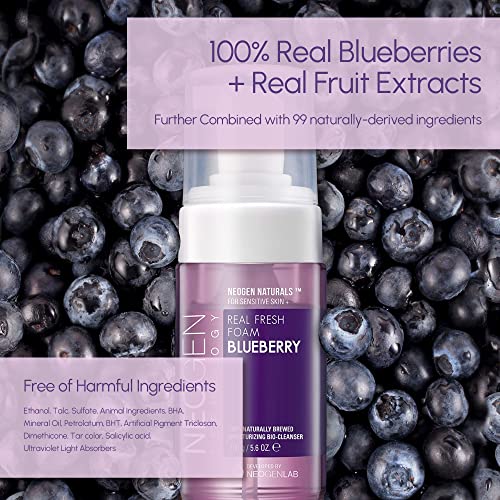 DERMALOGY by NEOGENLAB Blueberry Real Fresh Foam Cleanser 5.6 Fl Oz - Gentle Hydrating Facial Wash