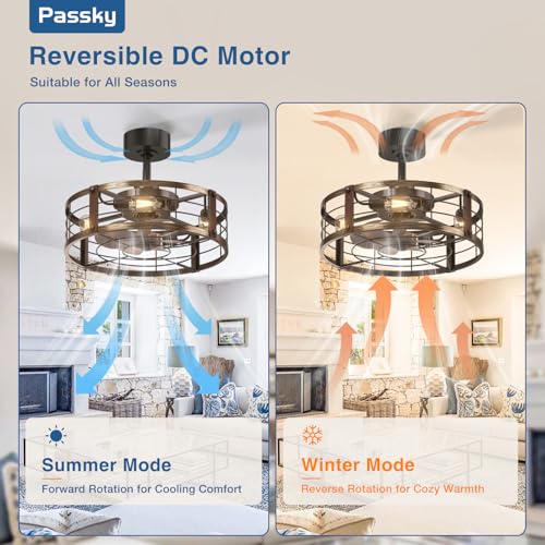 Black Brushed Gold Passky 20-inch Caged Ceiling Fan with Lights and Remote