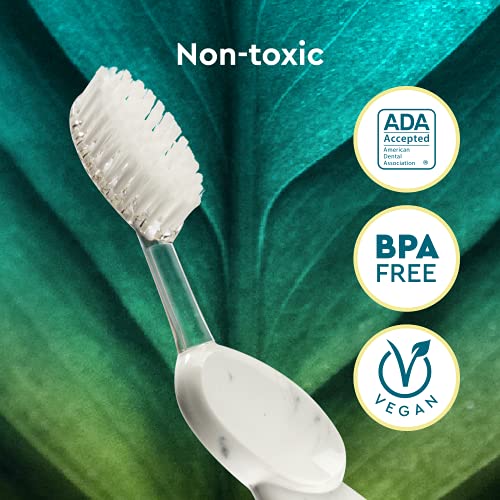 Earth-Friendly Replaceable Head Toothbrush for Right Hand - Coral/Purple/Soda Pack of 3