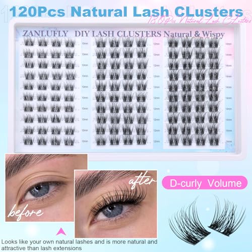 Lash Clusters Natural Eyelash Clusters D-Curly Cluster Lashes zanlufly Wispy Individual Lashes Cluster Eyelash Extension 10 12 14MM DIY Lash Extension
