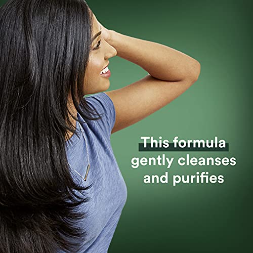 Suave Professionals Suave Conditioner for Oily Hair Tea Tree Hemp Seed Oil Paraben Free 12.6 oz
