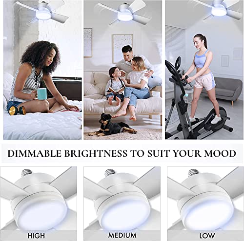 White 5-Speed Ceiling Fan with LED Light & Remote Control - Pack of 2