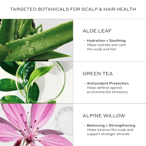 Zenagen Evolve Hydrating Hair Repair Shampoo 6.75oz - Nourishes & Reduces Damage