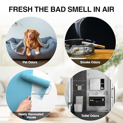 High-Capacity 80,000mg/h Ozone Air Purifier for Odor Removal - Home, Kitchen, Car & Office