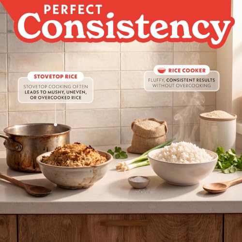 Gourmia 10-Cup Uncooked / 20-Cup Cooked Stainless Steel Rice Cooker & Steamer
