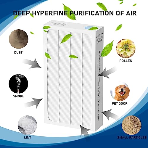 2 Pack Tio2 HEPA Air Filter Replacement Compatible with Electrolux Aerus Lux Guardian