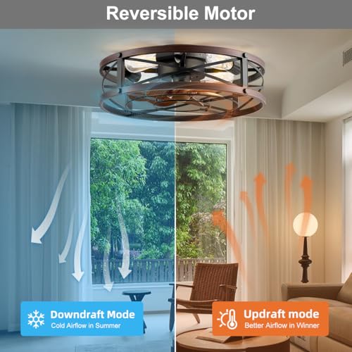 20-Inch Caged Ceiling Fan with Light and Remote Control - Brown & Black Variations
