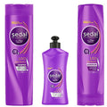 Sedal Liso Perfecto Hair Care Set - Shampoo, Conditioner & Leave-In