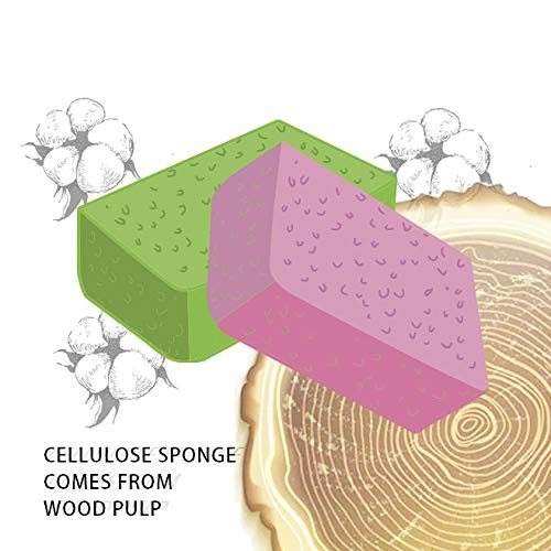 Facial Sponges Set of 60 - Exfoliating & Deep Cleansing for Skin Care