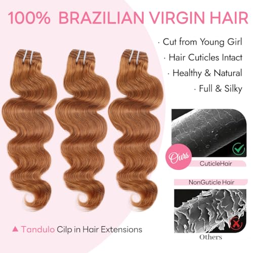 Clip in Hair Extensions 16 Inch Auburn Ginger Human Hair Body Wave 8pcs