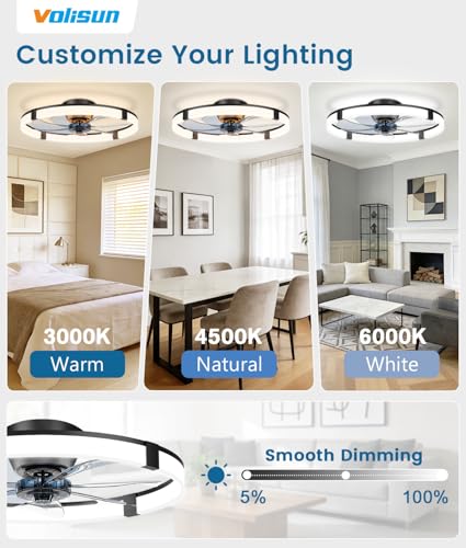 Black 23.6-inch Low Profile Ceiling Fan with Dimmable Light and Remote