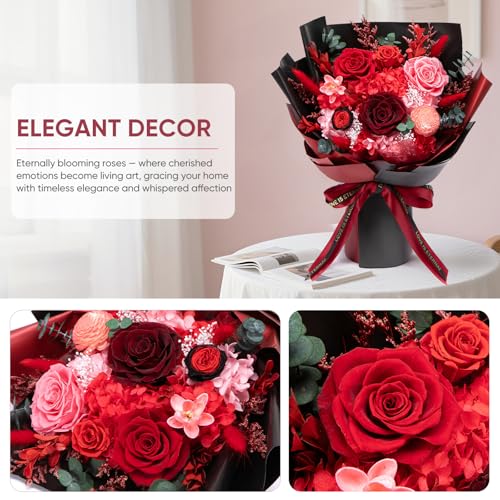 Red Preserved Flower Bouquet Large - Forever Fresh Rose Gift for Women & Special Occasions