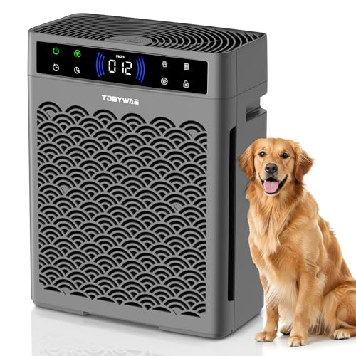 TDBYWAE Large Room Air Purifier with HEPA Filter & Fragrance - Grey