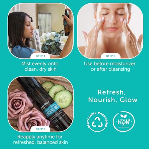 Hydrating Facial Mist & Toner Set - Organic Rose & Cucumber, 4 fl oz, Pack of 2
