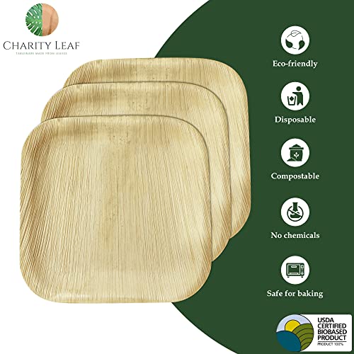 Charity Leaf Disposable Bamboo Square Plates 7-Inch - 200 Pieces, Eco-Friendly Dinnerware