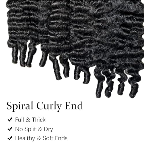12 Inch Burmese Curly Human Hair Bundles Water Wave Spiral Ends - 100% Virgin Remy Hair, Double Weft, Natural Black, 3C4A Style (Variation of THIS listing)
