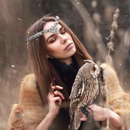 Renaissance Medusa Snake Crown - Medieval Retro Elf Viking Crown Braided Viking Tiara Fairy Circlet Silver Snake Vintage Celtic Headband Cosplay Halloween Elf Headpiece for Men and Women