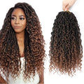 Peliri Goddess Locs Crochet Hair 24 Inch - Pre Looped Faux Locs for Black Women, 8 Packs/12 Strands, 1B/30