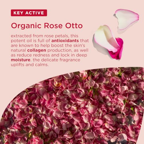 Organic Rose Otto Day Cream for Mature Skin - Hydrating & Anti-Aging, 50mL