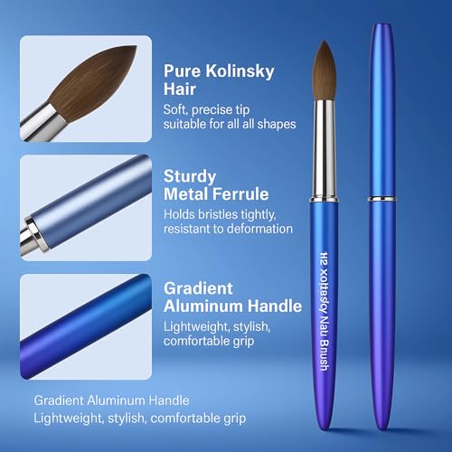 Professional Nail Art Brush Set - 12 Pcs Oval Kolinsky Sable Acrylic Brushes with Gradient Blue Metal Handles – Salon & DIY Use
