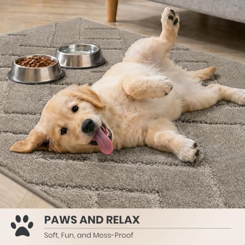 PURRUGS Taupe Hallway Runner Rug 32" x 70" - Low-Profile Entryway Door Mat