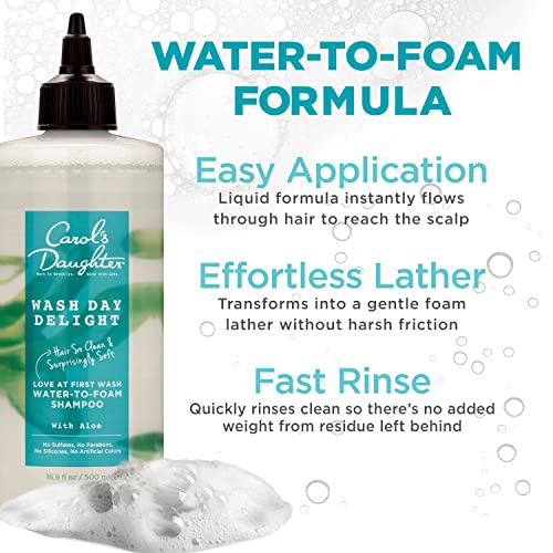 Shampoo - 16.9 Fl Oz Pack of 2, Sulfate-Free Micellar Hair Cleanser with Aloe