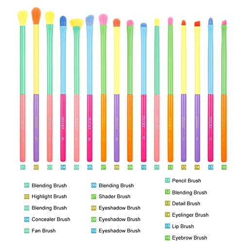 Docolor 16Piece Colorful Eye Makeup Brushes + Makeup Brushes Cleaner Set,Professional Eye Shadow Blending Brush Set with Solid Soap Cleanser & Color Removal Sponge & Silicone Brush Cleaner