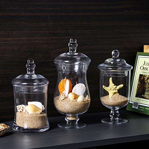 MyGift Clear Glass Apothecary Jars with Lid Set of 3 - Decorative Footed Vases