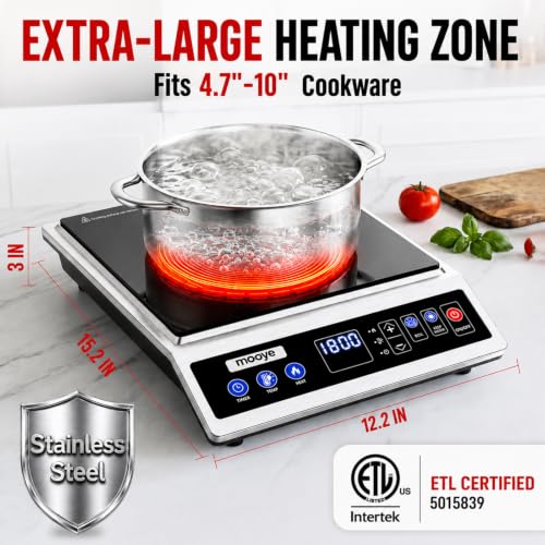 Portable Induction Cooktop - Max Power 1800W, 12-Hour Timer, Regular Variation