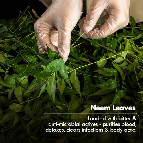 Natural Neem Basil Handmade Cold Process Soap Twin Pack - 125g
