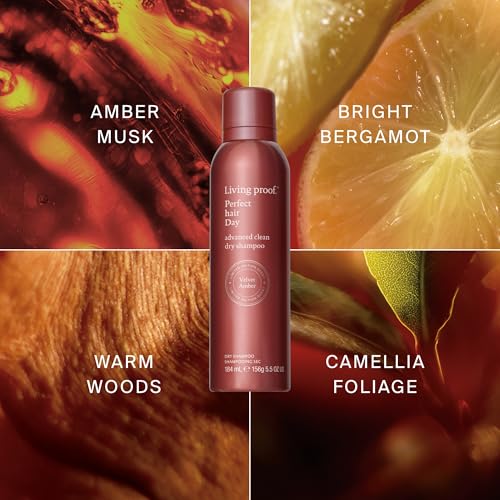 Living Proof Perfect Hair Day Dry Shampoo Velvet Amber 5.5 oz - Cleans & Adds Shine