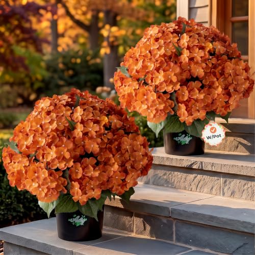 Artificial Hydrangea Flowers 22 Inch Tall with Pot for Outdoor Garden Decor - Orange, 2 Pack