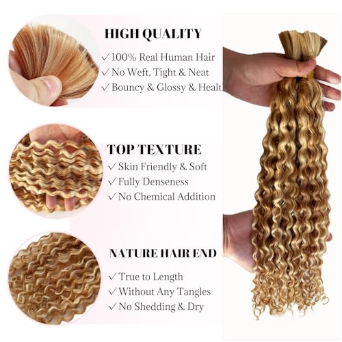 Belaved Human Braiding Water Wave Hair Extensions 16 Inch Strawberry Blonde to Bleach Blonde Ombre - 2 Bundles, 100g