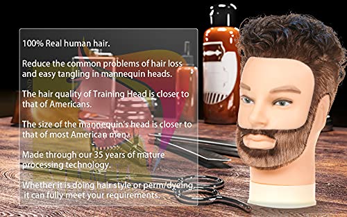 Male Mannequin Head with 14 Inch Human Hair for Barber Training & Styling