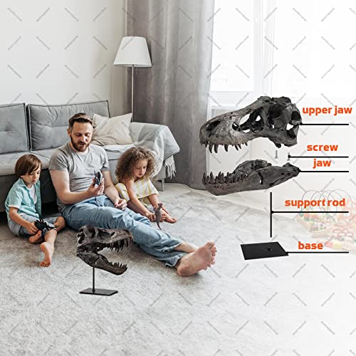 Large T Rex Skull Dinosaur Resin Statue - Fossil Replica Skeleton Decor