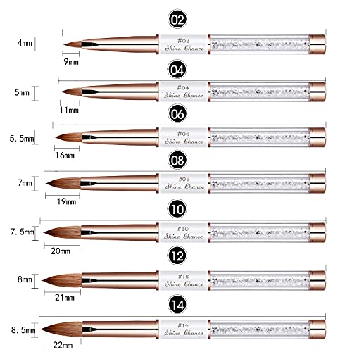 2Pcs Acrylic Nail Art Brush Size 10, 100% Pure Kolinsky Hair Oval Nail Brush for Acrylic Application, Professional Nail Extension Manicure Tool Striping Nail Drawing Pen for Home Salon