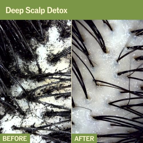 Deep Cleansing Matcha PDRN Shampoo with Menthol - Vegan Hair Detox 500g