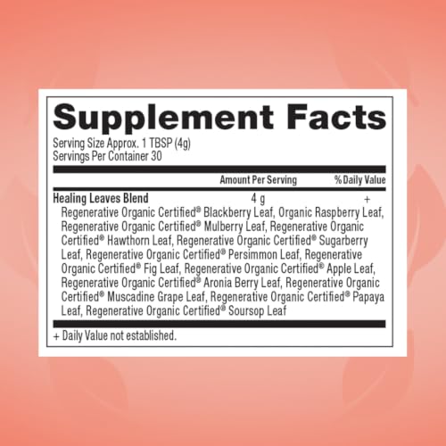 Longevity Blend Loose Leaf Tea - Organic Fruit Tree Leaf Infusion 30 Servings