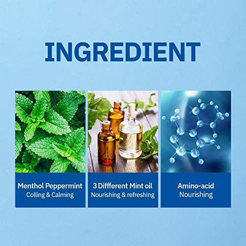 Cool Mint Shampoo for Dry Hair with Menthol - Scalp Relief & Refreshment, 16.9 fl oz