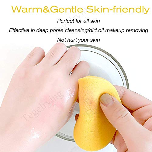 Facial Sponge Compressed,240 Count PVA Professional Makeup Removal Wash Pads Round Face Cleansing Sponge for Women Spa Exfoliating