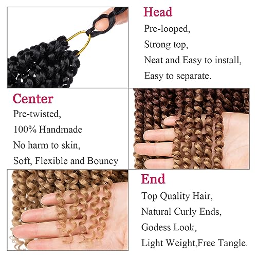 Leeven 22 Inch Ombre Passion Twist Crochet Hair - 8 Pack, Pre-Looped, 1B#