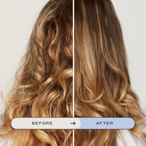 Leave-In Hair Conditioner Mist with Hydrating & Anti-Frizz Benefits - 3.6 Fl Oz