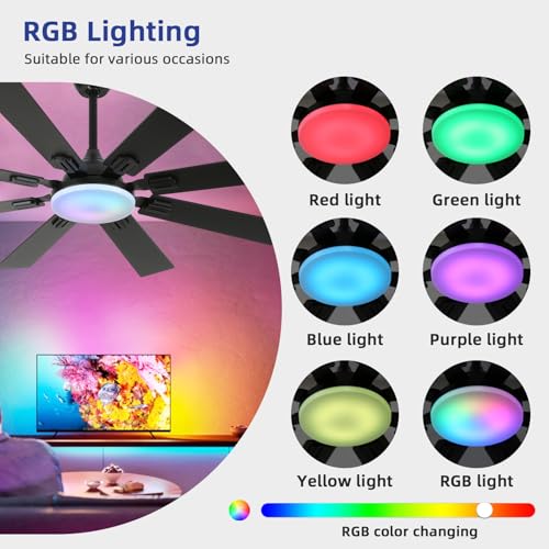 Fanyamei 52-Inch Black Ceiling Fan with Lights & Remote, Modern Farmhouse Reversible Blades