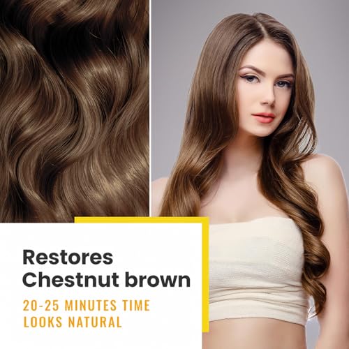 KINGMING Chestnut Brown Hair Dye Shampoo 3-in-1 for Gray Hair, Easy Hair Coloring