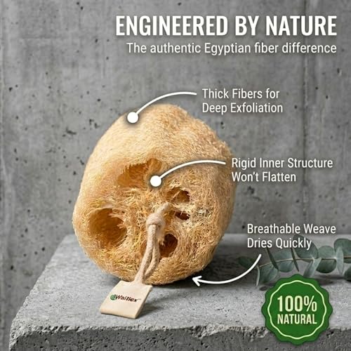Waritex Organic Egyptian Large Loofah Sponges 3-Pack Exfoliating Body Scrubber