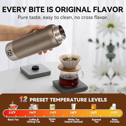 Gary 520ML Titanium Travel Electric Kettle - Dual Voltage 12 Temp Control Gray